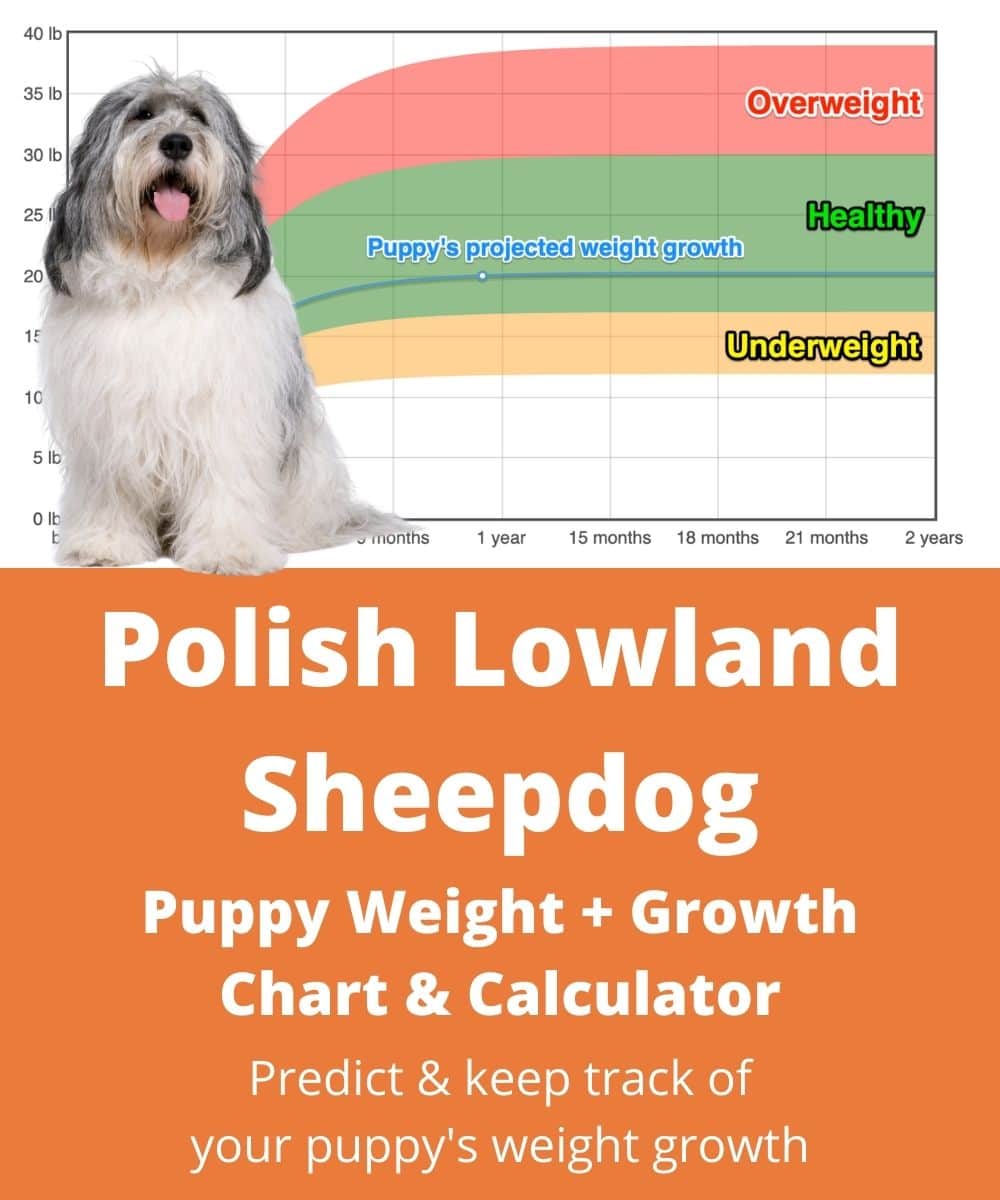 polish-lowland-sheepdog Puppy Weight Growth Chart